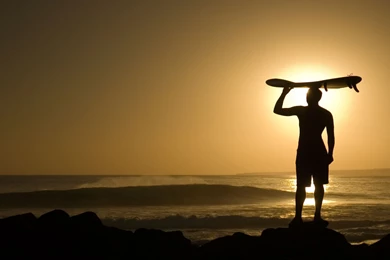 Gallery For > Surfer Wallpapers