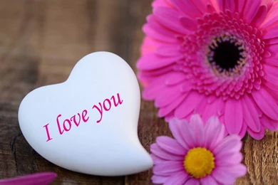 Free Download Love Pictures Wallpapers For All