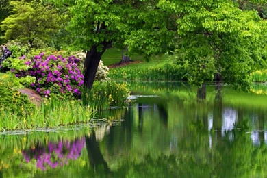 Summer Season Wallpapers