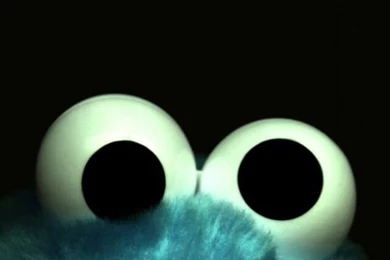 Cookie Monsters   Cute