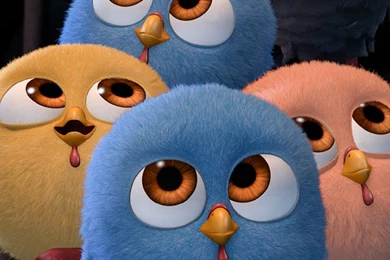 Iphone 6 Animated Wallpapers 298