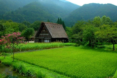 Village HD Wallpapers