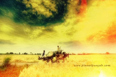 Punjabi Village Wallpapers   PlanetPunjab