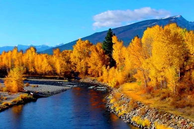 MOUNTAIN RIVER IN AUTUMN WALLPAPER   (