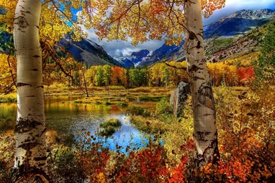Autmn Fall Seasons Lakes Leaves Reflection Mountains Colors Hdr ...
