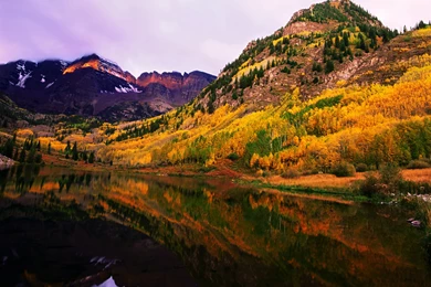 Fall Trees Wallpapers HD