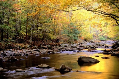 Great Smoky Mountains 1600x1200 Wallpapers,Great Smoky Mountains ...