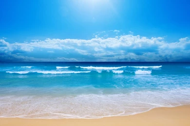 Blue Sky Trees Beach Computer Desktop Wallpapers Hd