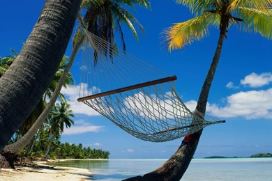 Download Wallpapers Hammock In A Tropical Paradise (1600 X 900 ...