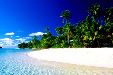 Tropical Paradise Wallpapers