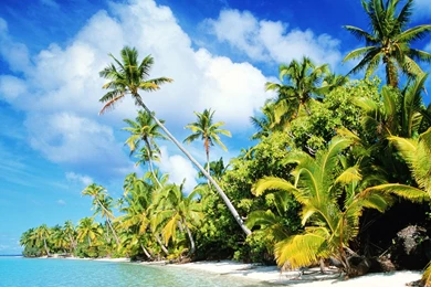 Paradise Wallpapers 030, Free Desktop Wallpapers, Cool Wallpapers