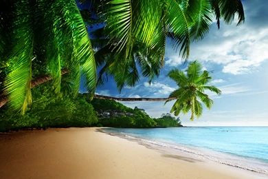 Tropical Beach Paradise 4K Ultra HD Desktop Wallpapers