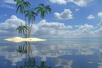 Grey Olltwit Software   Tropical Paradise Free Desktop Backgrounds