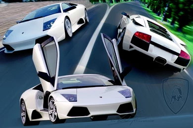 Lamborghini Murcielago Wallpapers