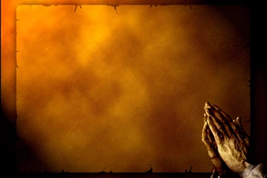 Free Ringtones And Wallpapers   4 Items