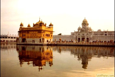 Free Ringtones And Wallpapers   4 Items