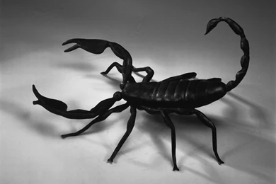 Scorpio HD Wallpapers