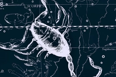 Hd Wallpapers Zodiac Scorpio