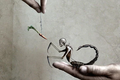 Creepy Scorpio Wallpapers 1920x1080   (