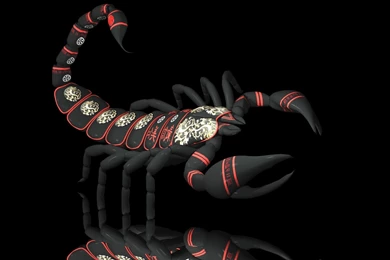 Scorpio Desktop Backgrounds   Wallpaper, High Definition, High ...