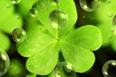 St. Patrick's Day ClipArt Cute And Happy Holidays   *Share, Submit ...