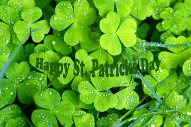St. Patrick's Day Mesh Weather Wallpapers For Friends   Mother's ...