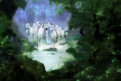 Free Online Moving Wallpapers