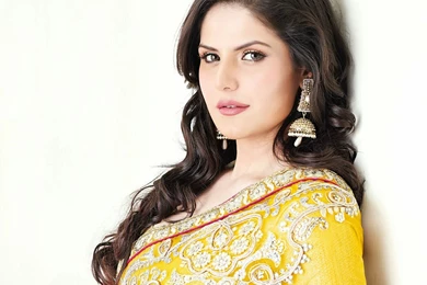 Download Free Beautiful Zarine Khan Wallpapers