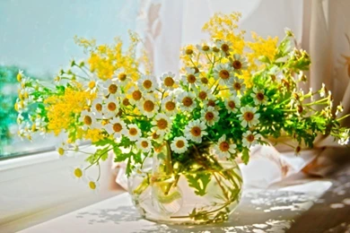 Good Morning Images Free Download Sweet Good Morning With Lovely ...