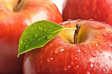 Awesome Fruit Pictures HD Wallpapers Free Download