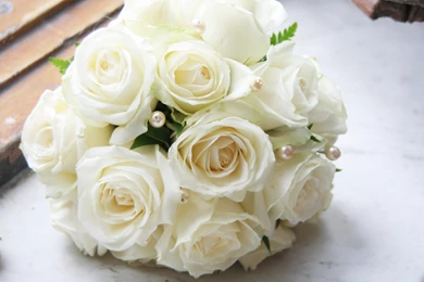 White Rose Hd