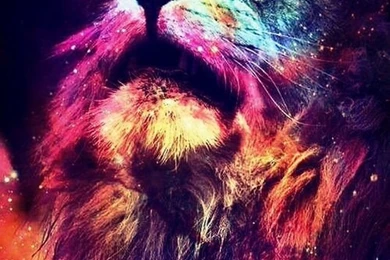 Lion, Screen, Wallpaper, Wallpapers, Lock Screen, Lockscreen ...