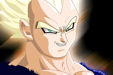 Vegeta Dragon Ball Z Super Saiyan Majin Wallpapers