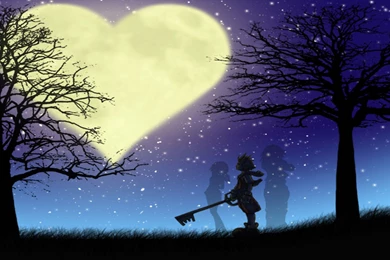 Top Hearts 1920x1080 55 Wallpapers