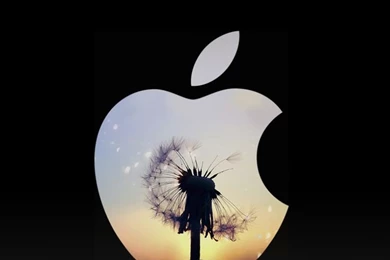 Cool Wallpapers For Iphone Lock Screen – Wallpapers