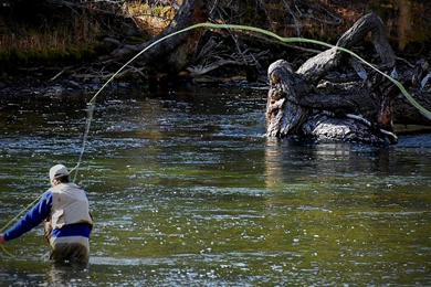 804318 Fly Fishing Wallpapers