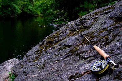 Trout Fly Fishing Wallpapers