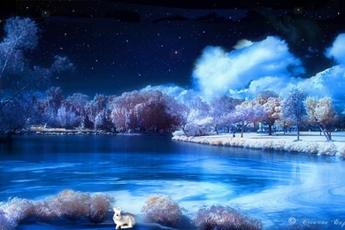 Winter Desktop Themes Images