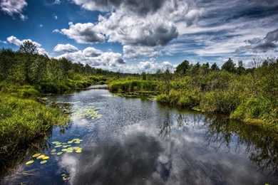 Fly Fishing Wallpapers