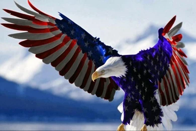 American Flag Wallpapers Collection (41+)