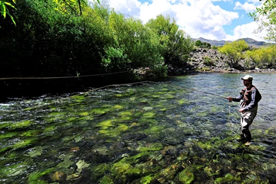 Trout Fly Fishing Wallpapers