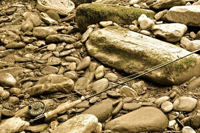 Fishing Fly High Quality Wallpapers, HQ Backgrounds