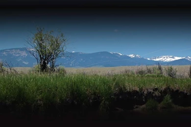 Index Of /wp content/themes/theme50667/montana fly fishing backgrounds