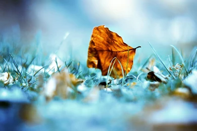 Hd High Quality Wallpapers,desktop Wallpapers