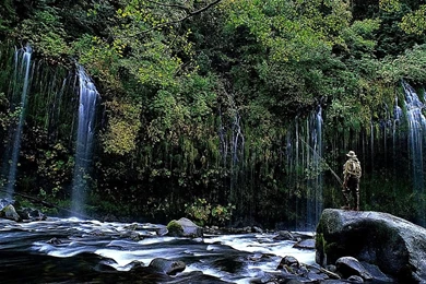 3D Fish Flying Wallpapers Hd Desktop