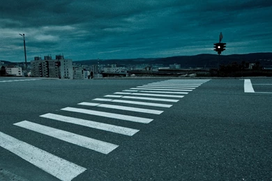 D. Automobile And Pedestrian Accidents