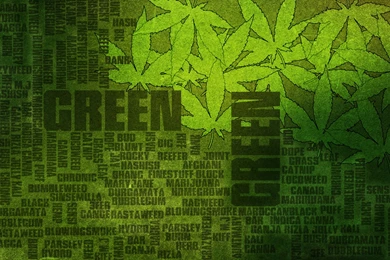 Weed Glefia.com Wallpapers