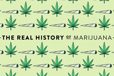 2560x1440 Marijuana, Weed, 420, Marijuana History, Ganja, Mary ...