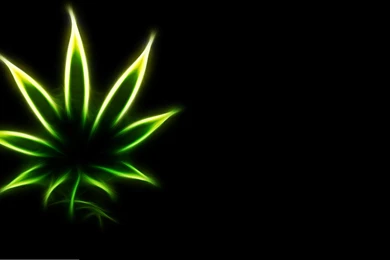 Drugs Marijuana Weed Cannabis