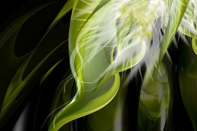 Weed Wallpapers For Desktop 37038 HD Wallpapers